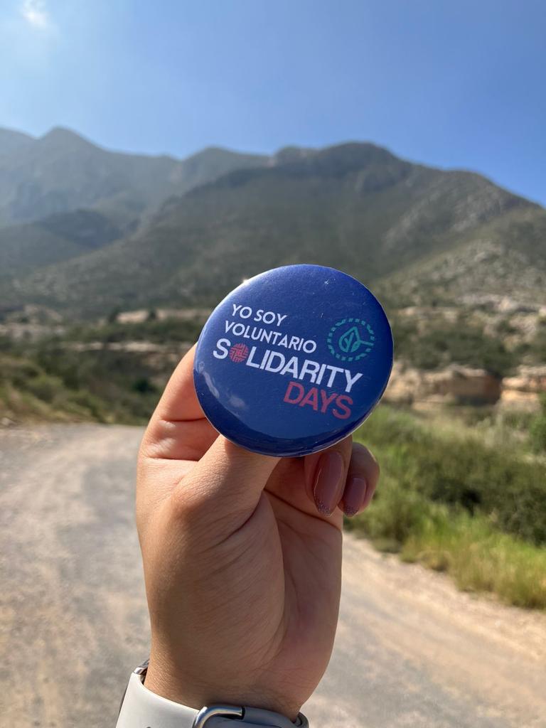 Solidarity pin